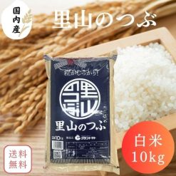 【送料無料】【長期保存向け】白米 10kg 福島県産里山のつぶ 10kg(10kg×1袋) 脱酸素剤入り 令和6年産
